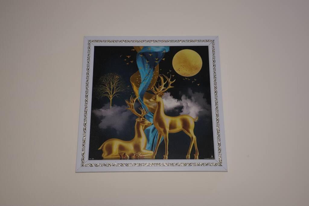 Fortune Service 1bhk,l-36b,saket Apartment New Delhi
